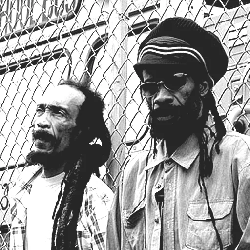 Israel Vibration