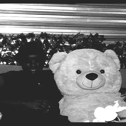 PAPI TeddyBear