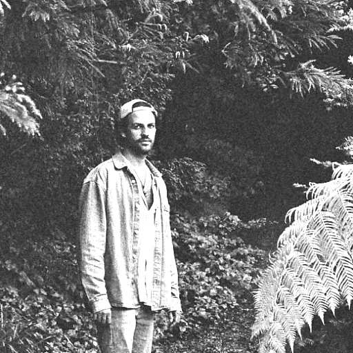 Worries And Other Plants