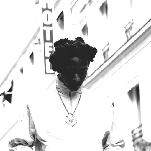 Jeune Lion