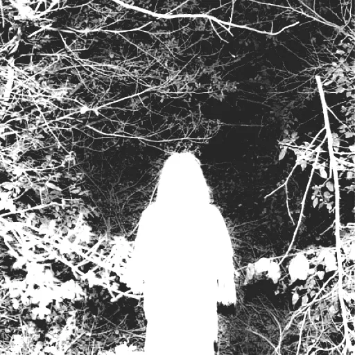 tessina