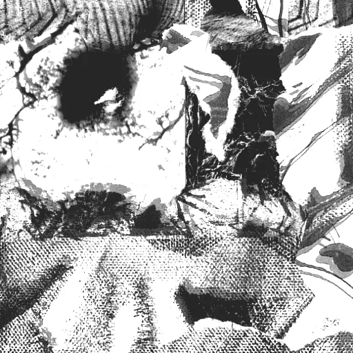 Leila Bordreuil