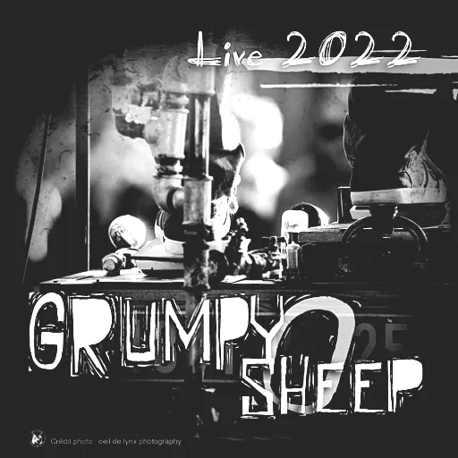 Grumpy O Sheep