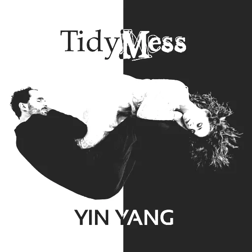 TidyMess