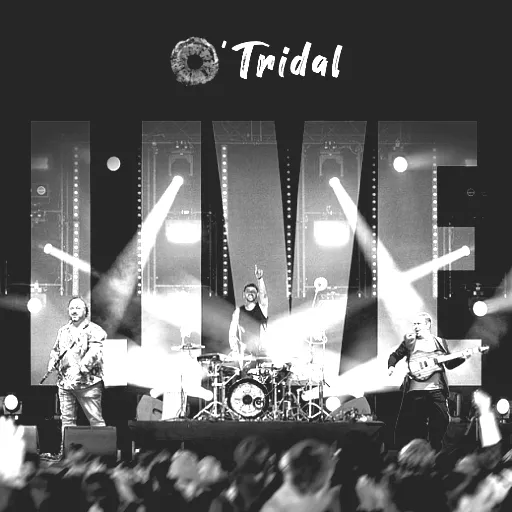 O'Tridal