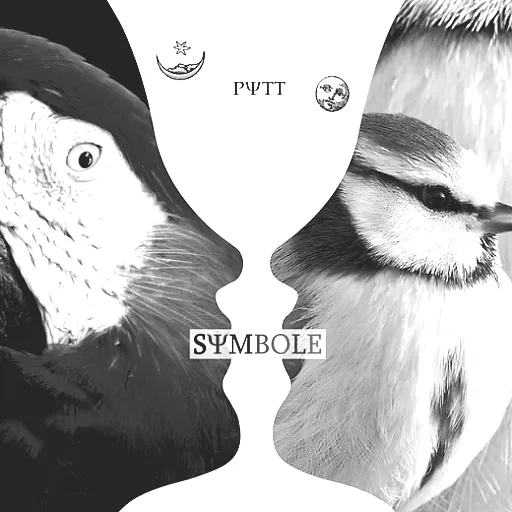 Pytt