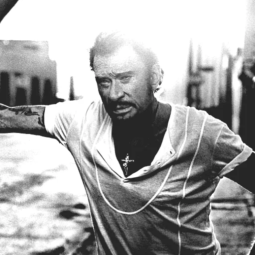 Johnny Hallyday