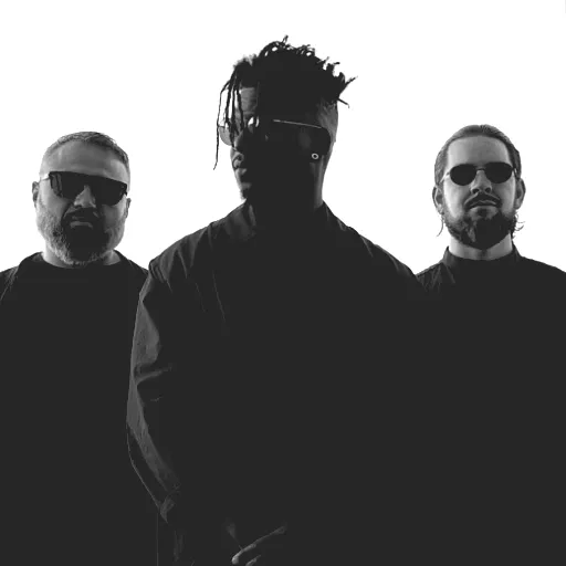 Animals as Leaders