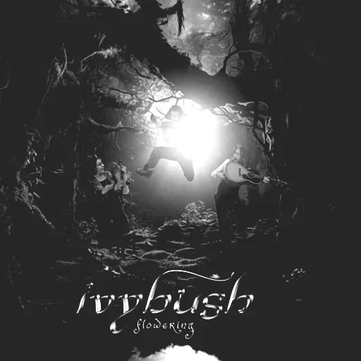 Ivy Bush