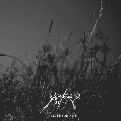 Austere
