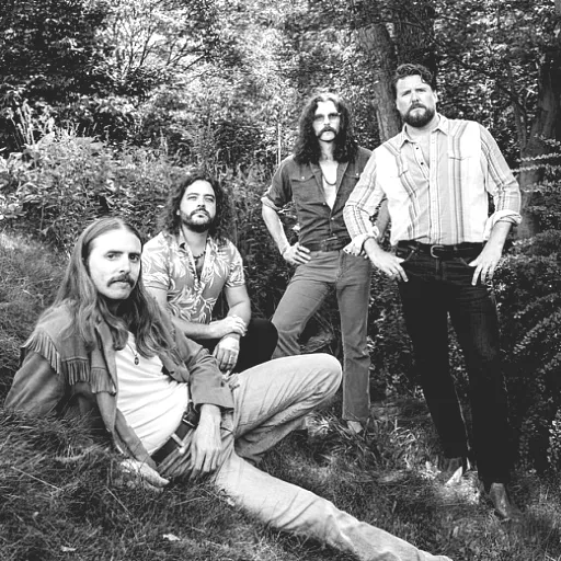The Sheepdogs