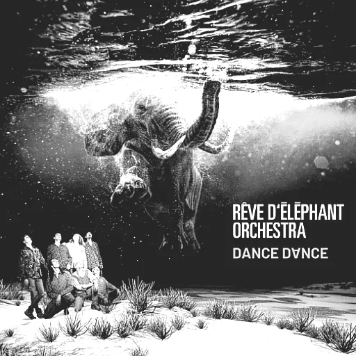 Rêve d'éléphant Orchestra