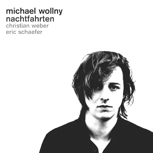 Michael Wollny