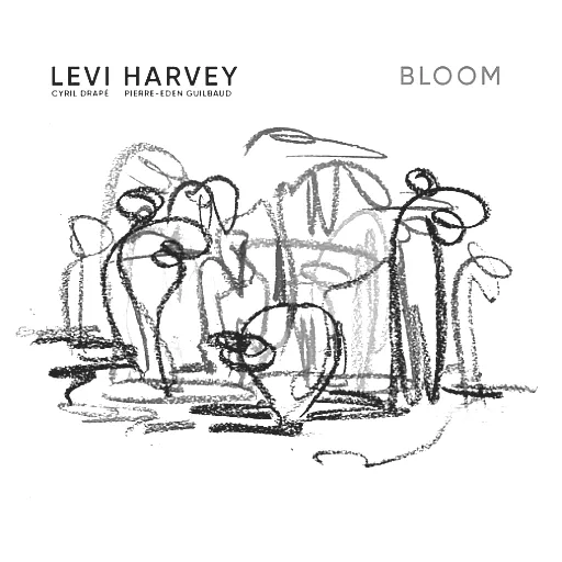 Levi Harvey trio