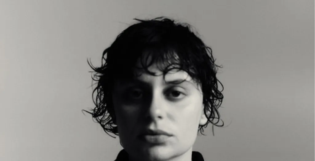 Ana Frango ElÉtrico