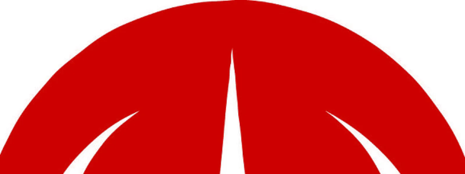 Magma