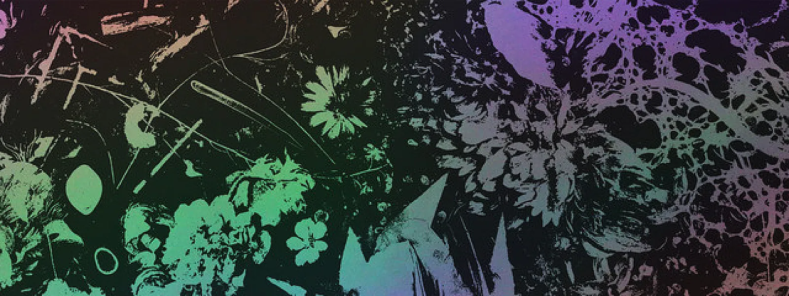 Converge