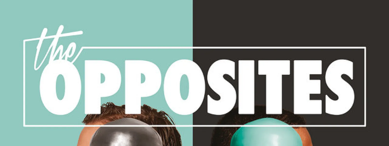 The Opposites
