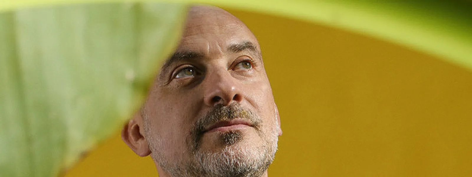 Lucas Santtana