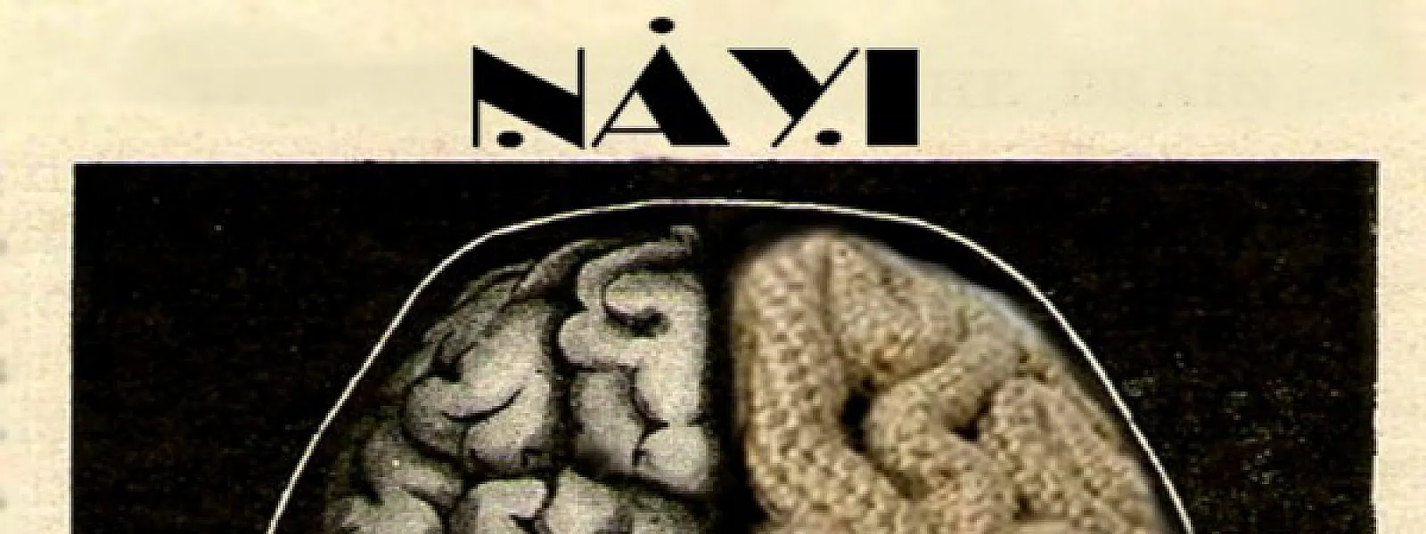 Nayi