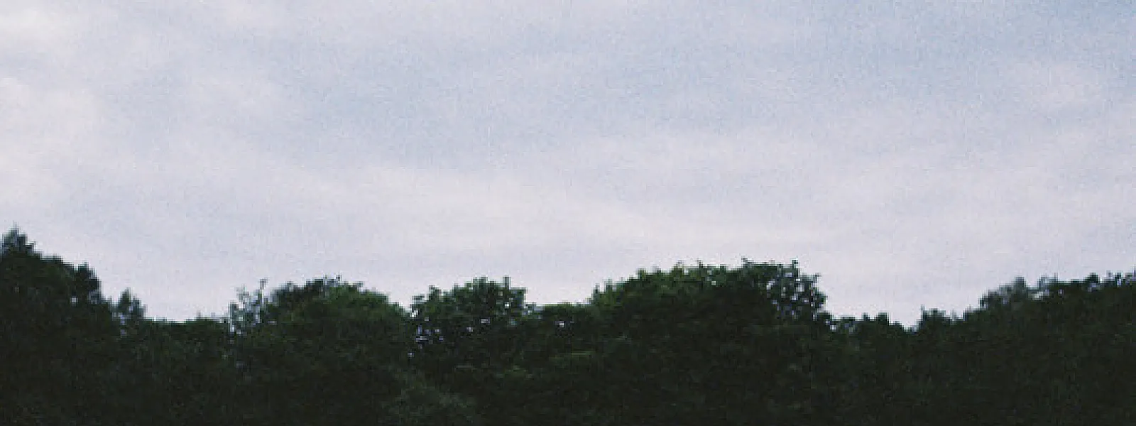 CAIVA