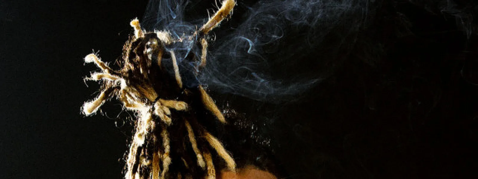 Gabriel Gosse