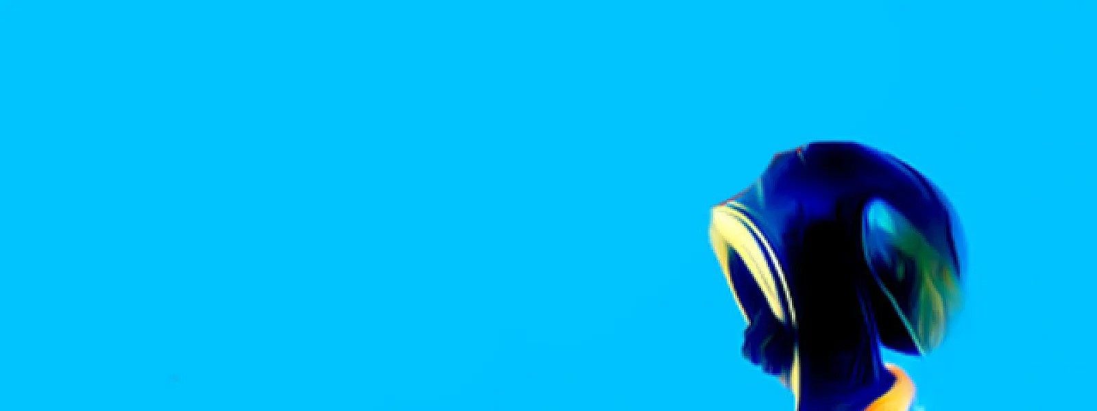 Sages comme des sauvages