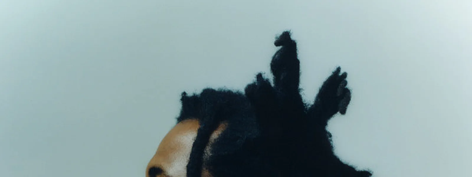 Sampha