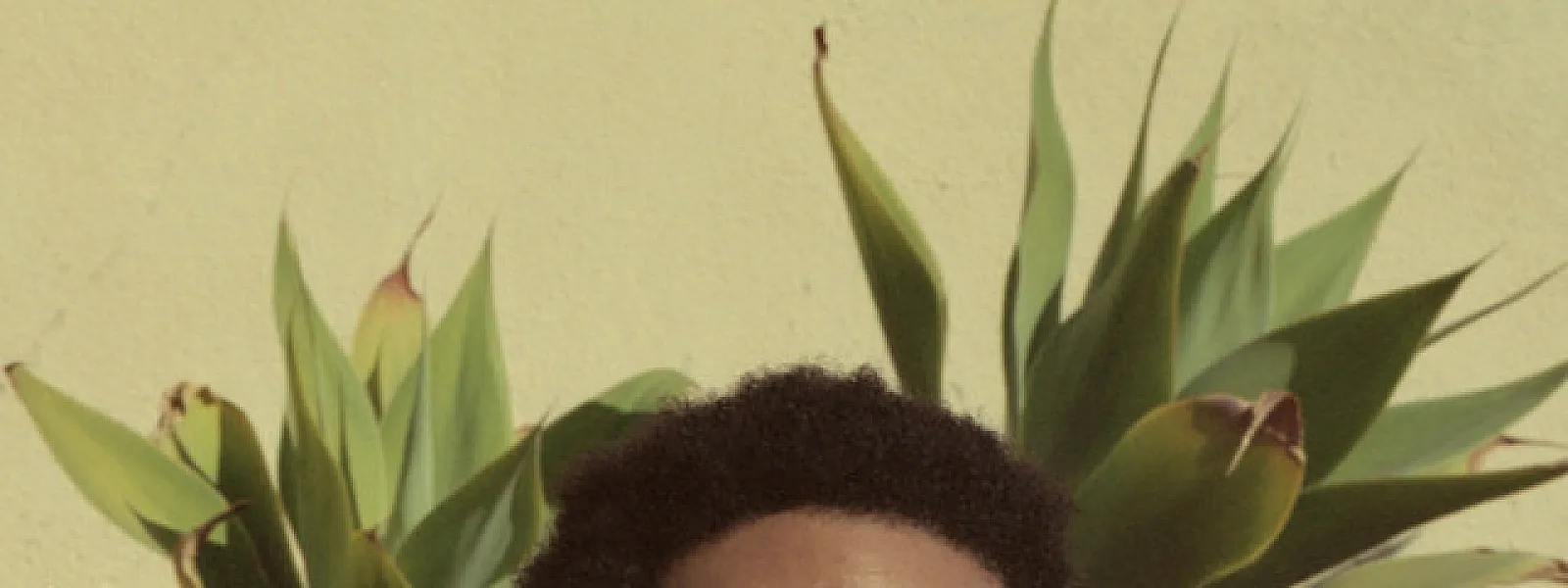Earl Sweatshirt