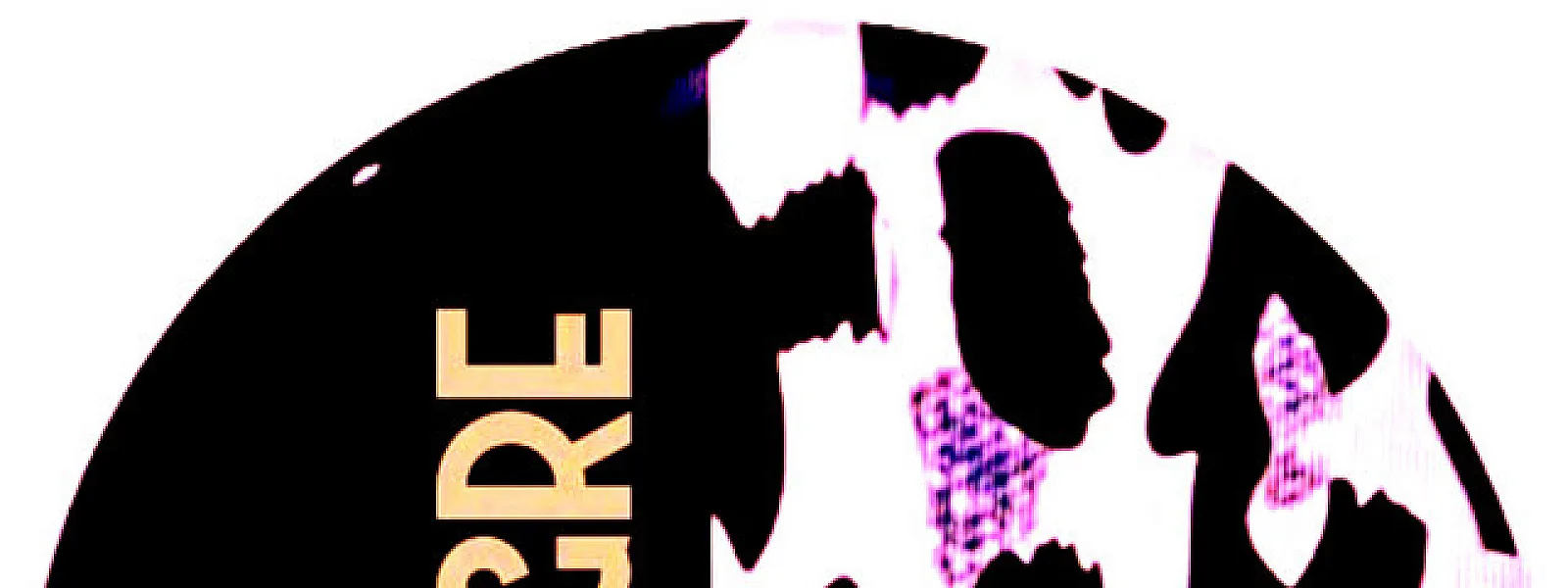THE TIGRE THE TIGRE