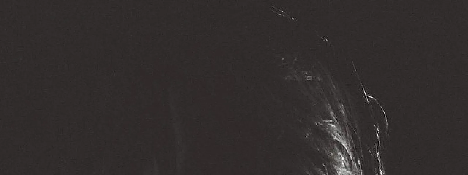 Jonny Greenwood