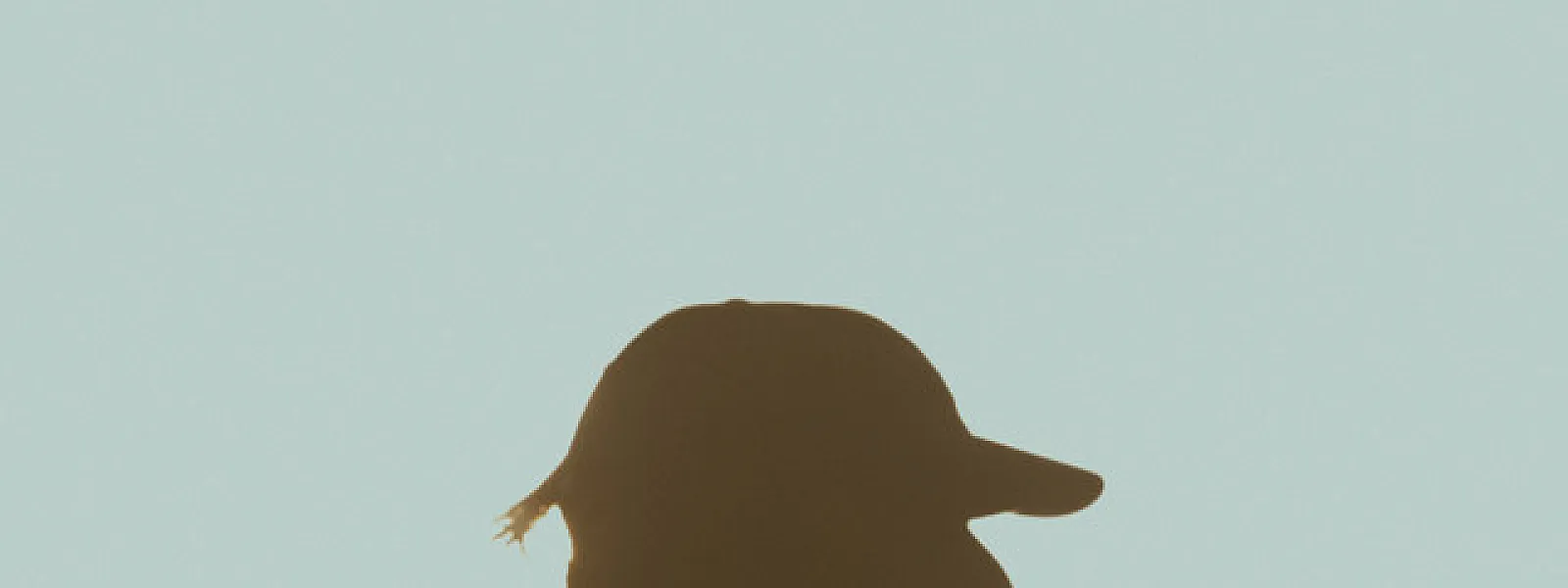 Pupajim