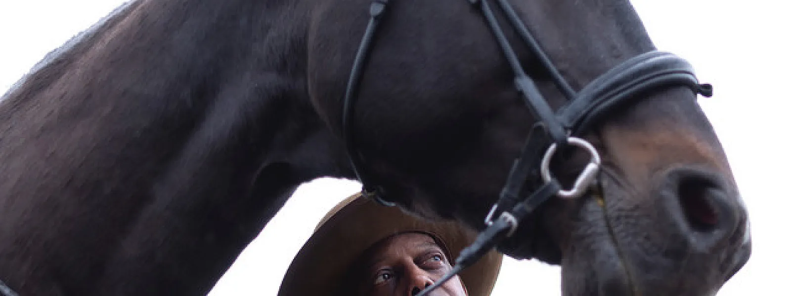 Eric Bibb