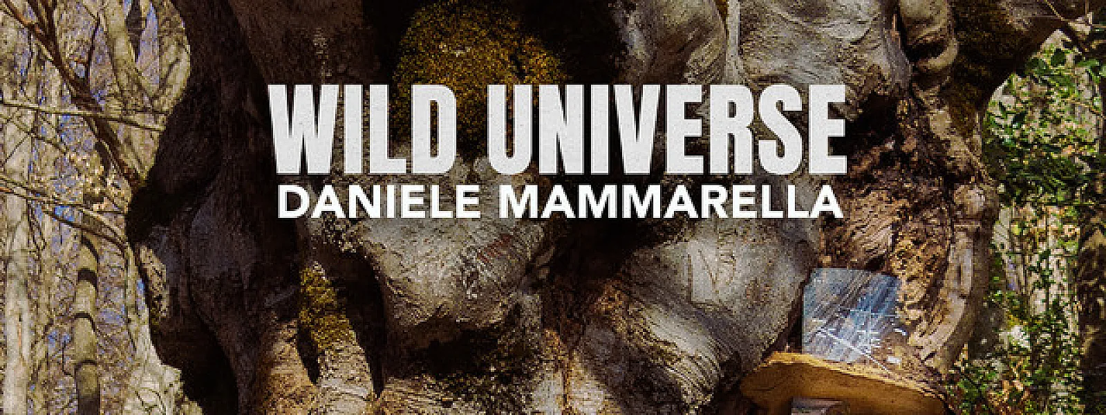 Daniele Mammarella