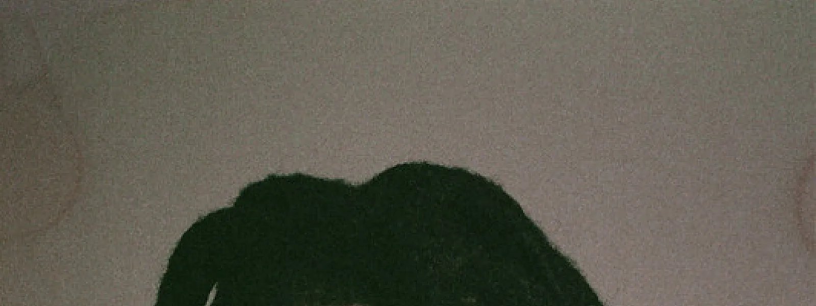 Shaboozey