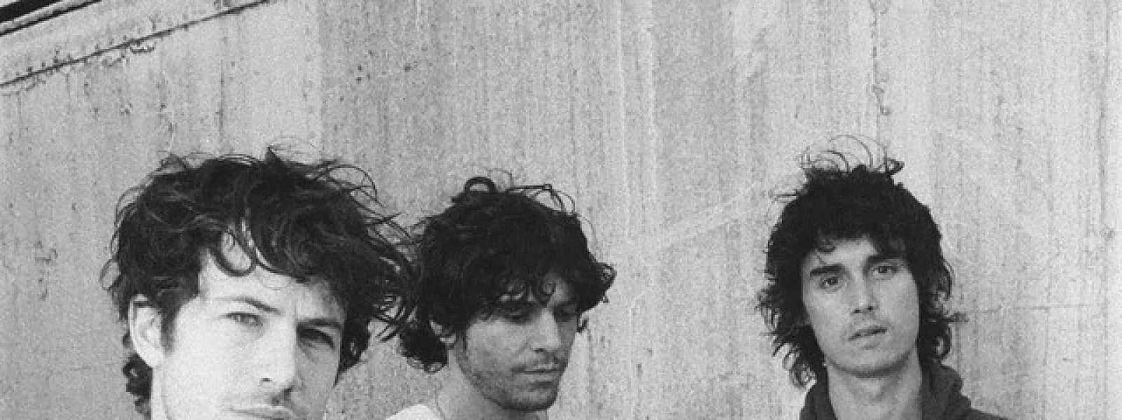Wallows