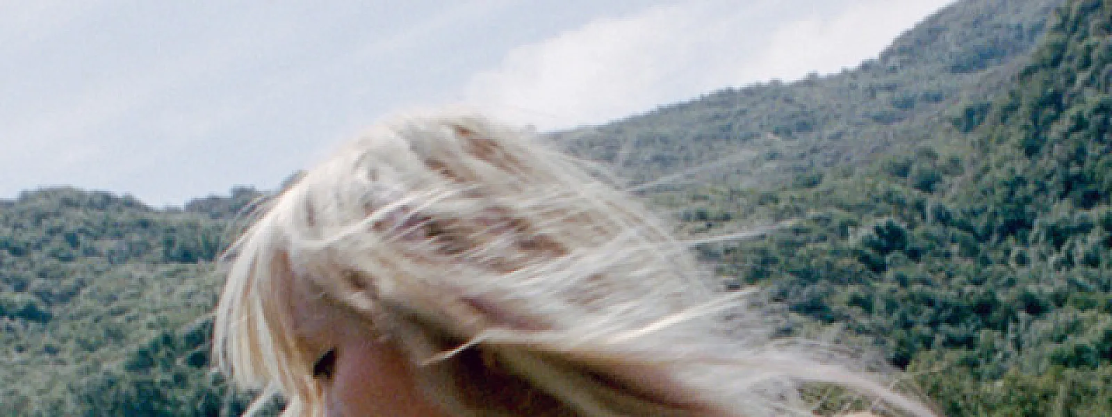 Wisp