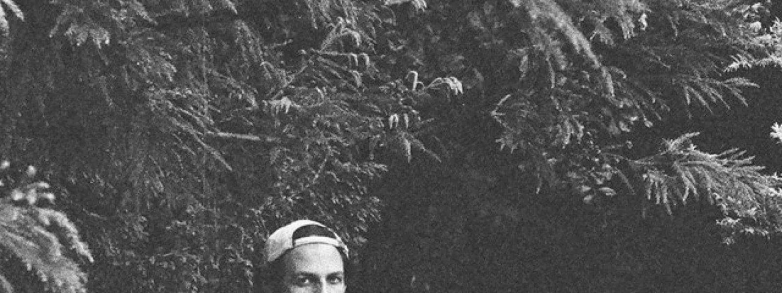 Worries And Other Plants