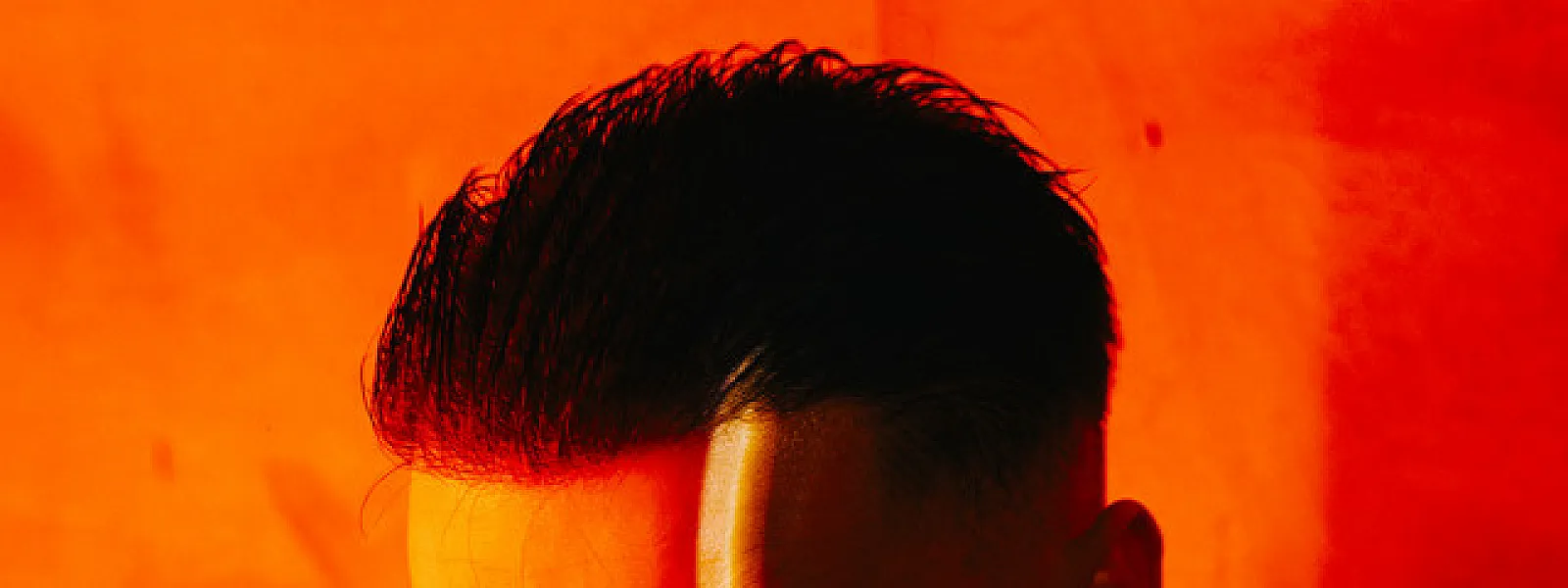 Diogo Piçarra