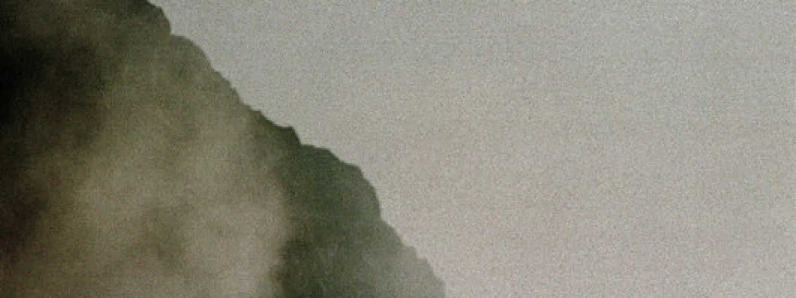 WU LYF