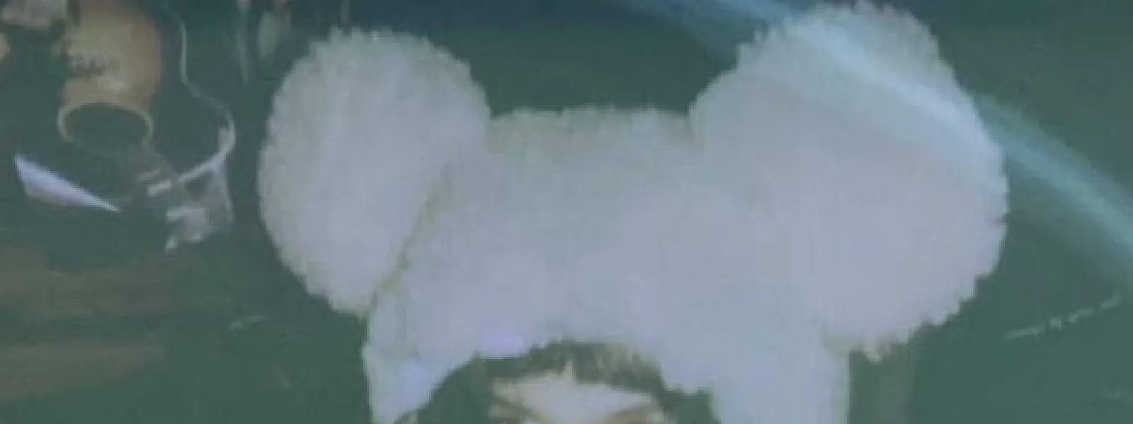 naya mö