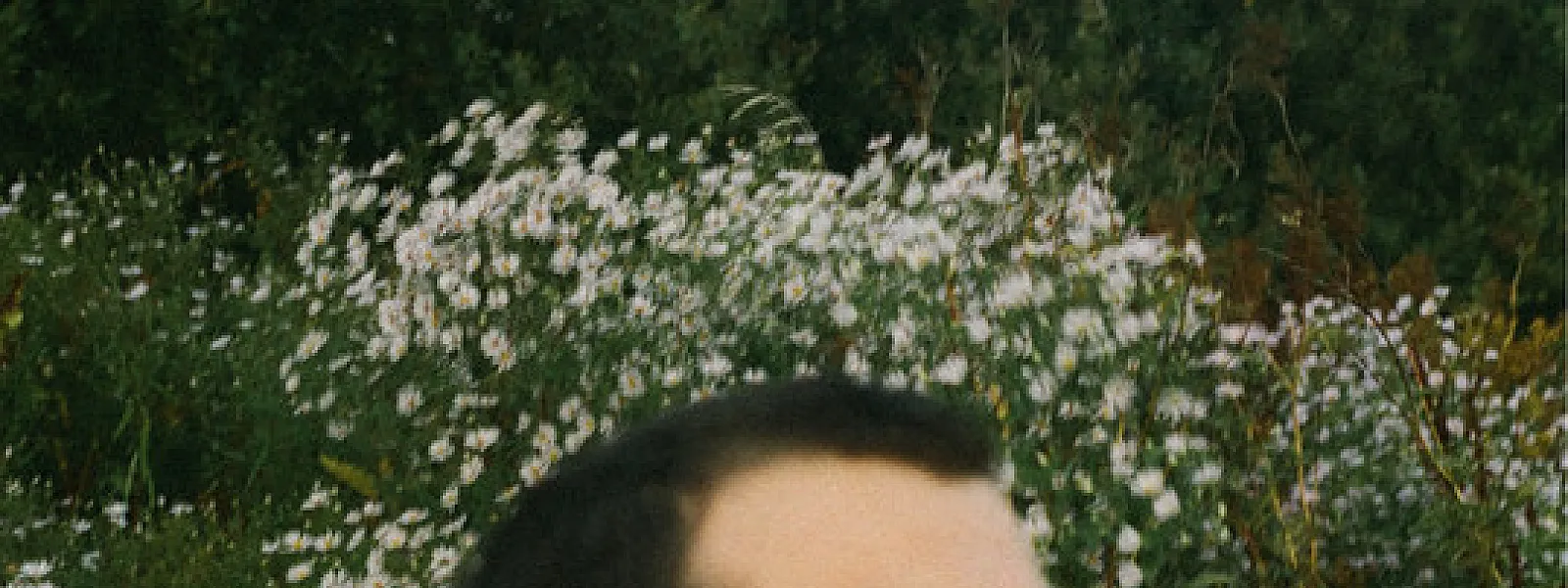 Vraell