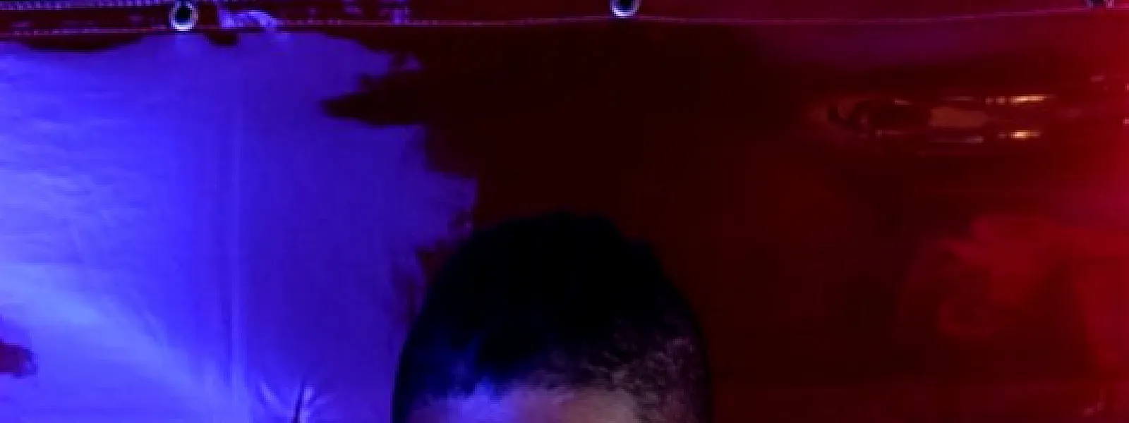 Felix da Housecat