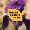 La Friche la Belle de Mai - Marseille