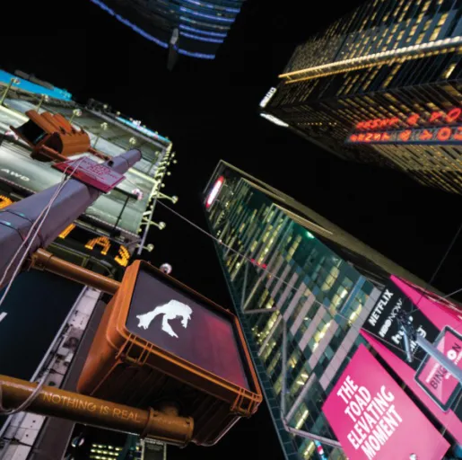 The Toad Elevating Moment