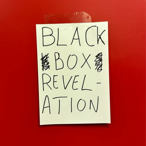 The Black Box Revelation