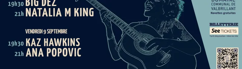 Blues Roots Festival 2022