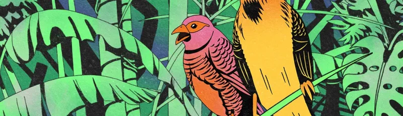 Francofolies de La Réunion 2025
