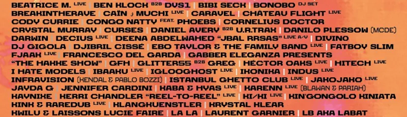 Nuits sonores 2024