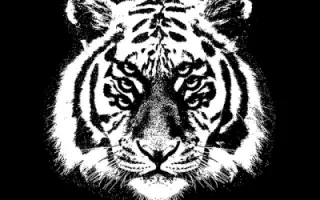 Royal Blood